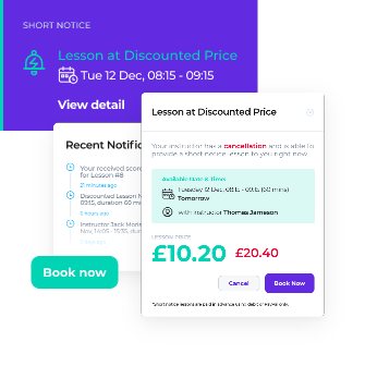 Driveli app mockup