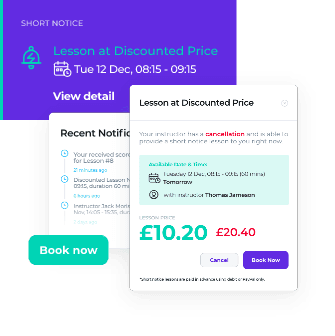 Driveli app mockup